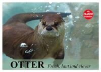 Otter. Frech, laut und clever (Wandkalender 2025 DIN A2 quer), CALVENDO Monatskalender