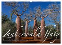 Zauberwald Ifaty · Traumhafte Baobabs in Madagaskar (Wandkalender 2025 DIN A2 quer), CALVENDO Monatskalender