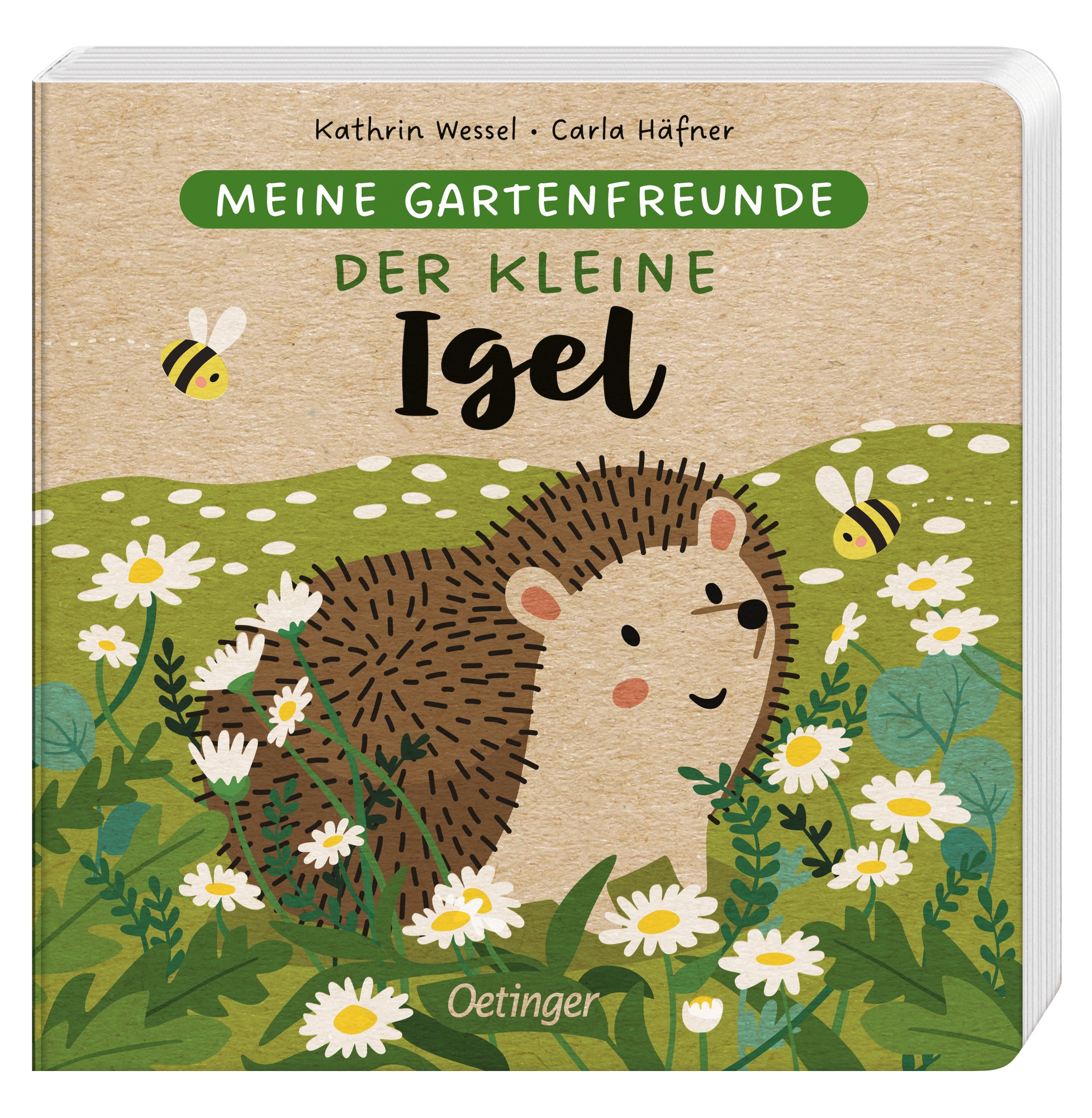 Meine Gartenfreunde. Der kleine Igel