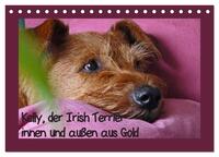 Kelly, der Irish Terrier - innen und außen aus Gold (Tischkalender 2025 DIN A5 quer), CALVENDO Monatskalender