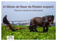 Im Märzen der Bauer die Rösslein anspannt (Wandkalender 2025 DIN A3 quer), CALVENDO Monatskalender