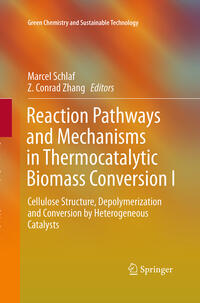 Reaction Pathways and Mechanisms in Thermocatalytic Biomass Conversion I