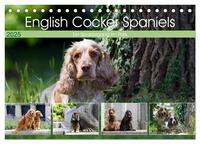 English Cocker Spaniels - Ein Spaziergang im Park (Tischkalender 2025 DIN A5 quer), CALVENDO Monatskalender