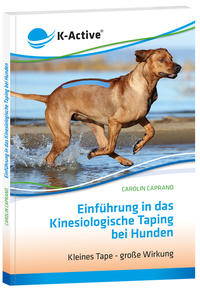 Einführung in das Kinesiologische Taping bei Hunden