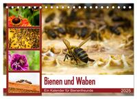 Bienen und Waben (Tischkalender 2025 DIN A5 quer), CALVENDO Monatskalender