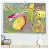 Gelber Frauenschuh (hochwertiger Premium Wandkalender 2025 DIN A2 quer), Kunstdruck in Hochglanz