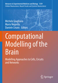 Computational Modelling of the Brain