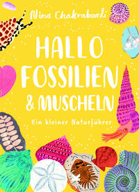 Hallo Fossilien & Muscheln