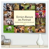 Terrier-Rassen im Portrait (hochwertiger Premium Wandkalender 2025 DIN A2 quer), Kunstdruck in Hochglanz