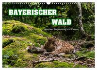 Bayerischer Wald (Wandkalender 2025 DIN A3 quer), CALVENDO Monatskalender