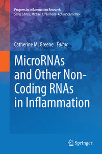 MicroRNAs and Other Non-Coding RNAs in Inflammation