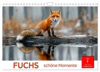 Fuchs - schöne Momente (Wandkalender 2025 DIN A4 quer), CALVENDO Monatskalender