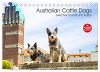 Australian Cattle Dogs zwischen Kunst und Kultur (Tischkalender 2025 DIN A5 quer), CALVENDO Monatskalender