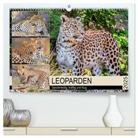 Leoparden. Geschmeidig, kräftig und klug (hochwertiger Premium Wandkalender 2025 DIN A2 quer), Kunstdruck in Hochglanz