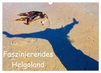 Faszinierendes Helgoland (Wandkalender 2025 DIN A3 quer), CALVENDO Monatskalender