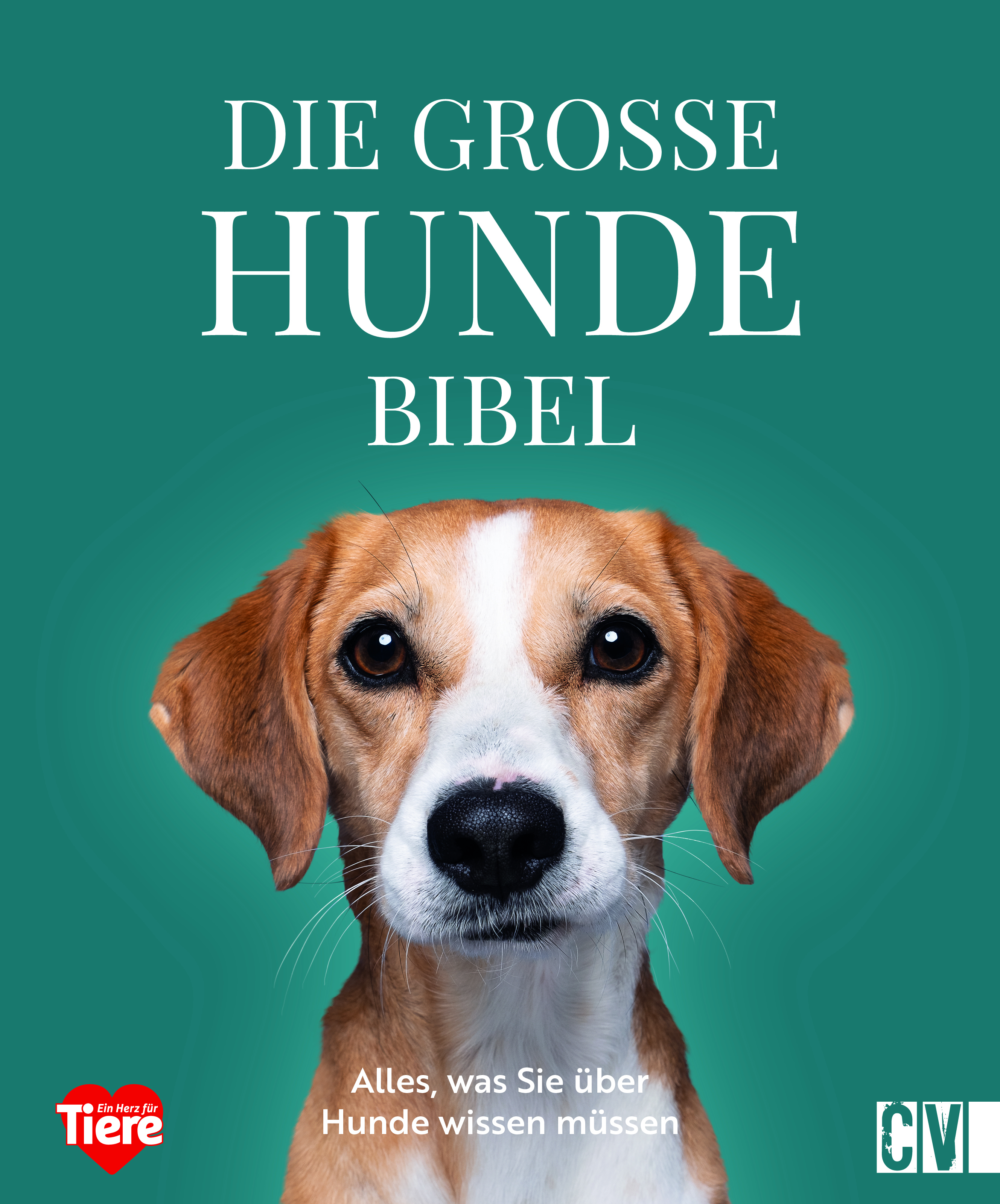 Die große Hundebibel