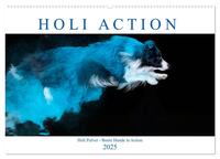 Holi Action (Wandkalender 2025 DIN A2 quer), CALVENDO Monatskalender