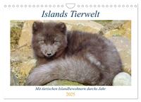 Islands Tierwelt - Mit tierischen Inselbewohnern durchs Jahr (Wandkalender 2025 DIN A4 quer), CALVENDO Monatskalender