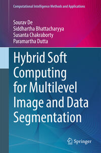 Hybrid Soft Computing for Multilevel Image and Data Segmentation