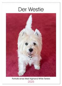 Der Westie - Portrait eines West Highland White Terriers (Wandkalender 2025 DIN A2 hoch), CALVENDO Monatskalender