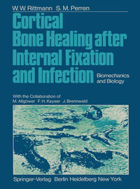 Cortical Bone Healing after Internal Fixation and Infection