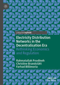 Electricity Distribution Networks in the Decentralisation Era