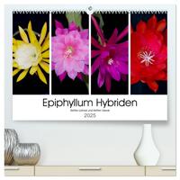 Epiphyllum-Hybriden (hochwertiger Premium Wandkalender 2025 DIN A2 quer), Kunstdruck in Hochglanz