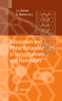 Adsorption and Phase Behaviour in Nanochannels and Nanotubes