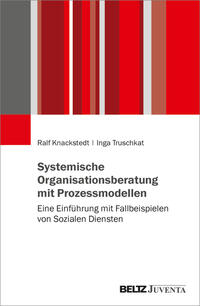 Systemische Organisationsberatung mit Prozessmodellen