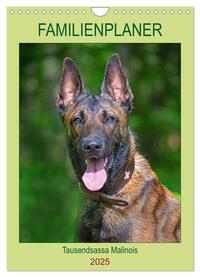 Familienplaner Tausendsassa Malinois (Wandkalender 2025 DIN A4 hoch), CALVENDO Monatskalender