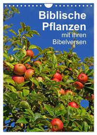 Biblische Pflanzen mit ihren Bibelversen (Wandkalender 2025 DIN A4 hoch), CALVENDO Monatskalender