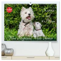 Kobold auf 4 Pfoten - West Highland White Terrier (hochwertiger Premium Wandkalender 2025 DIN A2 quer), Kunstdruck in Hochglanz