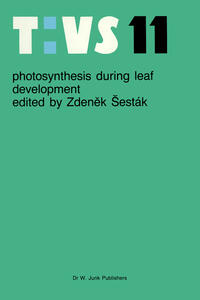 Photosynthesis during leaf development