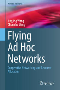 Flying Ad Hoc Networks