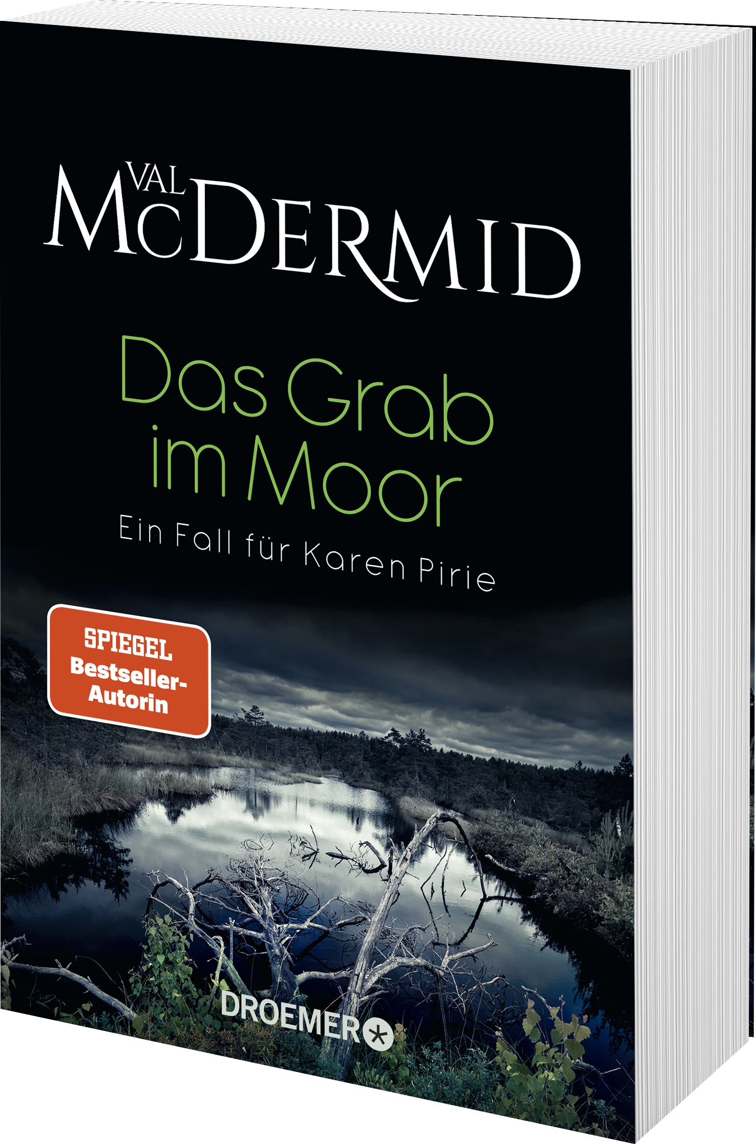 Das Grab im Moor