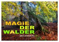 Magie der Wälder Britanniens (Wandkalender 2025 DIN A2 quer), CALVENDO Monatskalender