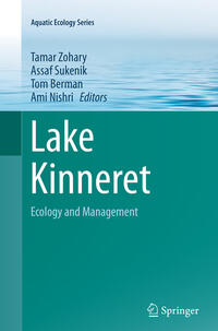 Lake Kinneret