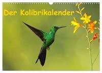 Der Kolibrikalender (Wandkalender 2025 DIN A3 quer), CALVENDO Monatskalender