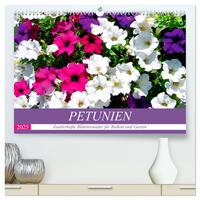 Petunien. Zauberhafte Blütenwunder für Balkon und Garten (hochwertiger Premium Wandkalender 2025 DIN A2 quer), Kunstdruck in Hochglanz