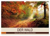 Der Wald. Durch zauberhafte Waldlandschaften (Wandkalender 2025 DIN A3 quer), CALVENDO Monatskalender