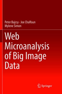 Web Microanalysis of Big Image Data