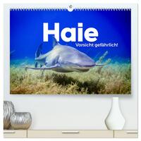 Haie - Vorsicht gefährlich! (hochwertiger Premium Wandkalender 2025 DIN A2 quer), Kunstdruck in Hochglanz