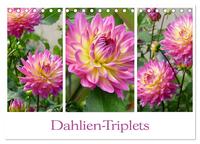 Dahlien-Triplets (Tischkalender 2025 DIN A5 quer), CALVENDO Monatskalender