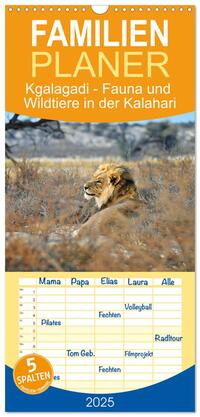 Familienplaner 2025 - Kgalagadi - Fauna und Wildtiere in der Kalahari mit 5 Spalten (Wandkalender, 21 x 45 cm) CALVENDO