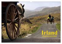 Irland • Impressionen (Wandkalender 2025 DIN A2 quer), CALVENDO Monatskalender