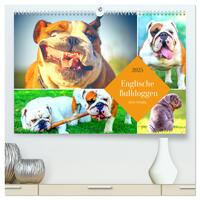 Dicke Freunde. Englische Bulldoggen (hochwertiger Premium Wandkalender 2025 DIN A2 quer), Kunstdruck in Hochglanz