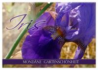 Iris - mondäne Gartenschönheit (Wandkalender 2025 DIN A2 quer), CALVENDO Monatskalender