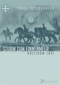 Sturm zum Finnenmeer