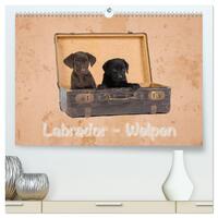 Labrador - Welpen (hochwertiger Premium Wandkalender 2025 DIN A2 quer), Kunstdruck in Hochglanz