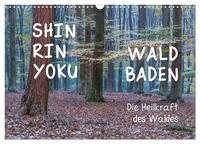 Shinrin yoku - Waldbaden 2025 (Wandkalender 2025 DIN A3 quer), CALVENDO Monatskalender